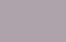Однотонные фиолетовые обои (фон) Loymina 77 Colors C9 04